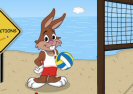 Beach Volleyball Game