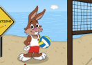 Beach Volleyball