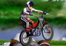 Bike Mania Game