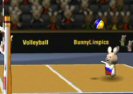 Bunnylimpics Volleyboll Game