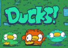 Ducks