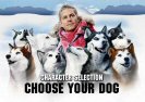 Eight Below Game