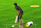 Fantacy Cricket