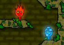 Fire Boy And Water Girl Game