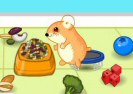Hamster Lost In Food