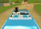 Джърси Joy Ride Game