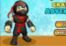 Ninja Gravity Adventure Game