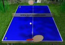 Ping Pong Game