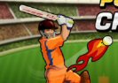 السلطة الكريكيت T20 Game