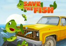 Save the Fish Game