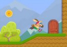 Such Bunny Run Game