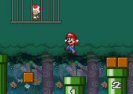 Super Mario Save Toad Game