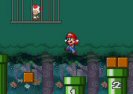 수퍼 Mario 저장 두 꺼 비 Game