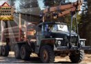 Timber Lorry Driver Game