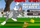 Tom And Jerry Mouse About House Game