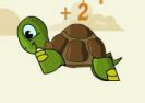 Turtle Dreams to Fly Game