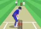 World Cricket Slog Master Game