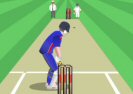 World Cricket Slog Master